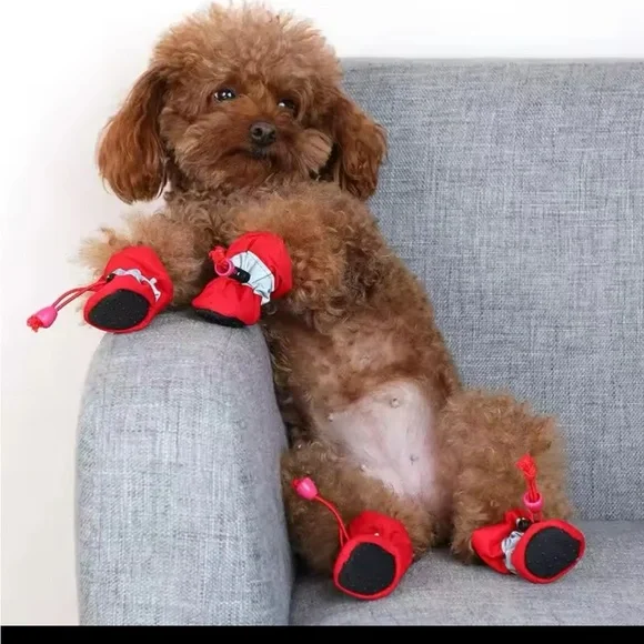 4pcs Set anti skid puppy shoes - Picture 1 of 2